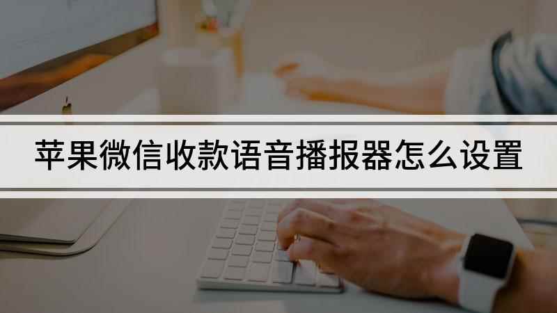 苹果微信收款语音播报器怎么设置(苹果手机微信收款语音播报怎么设置)