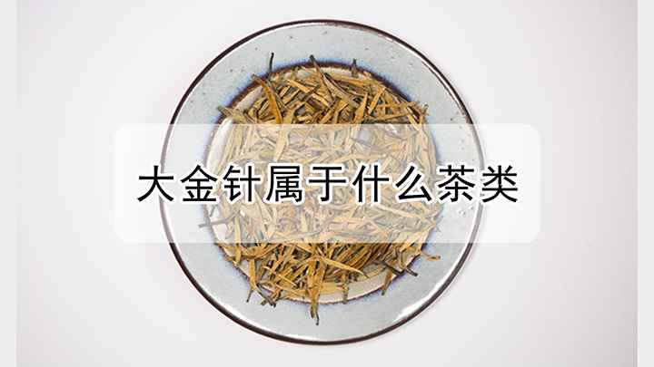 大金针属于什么茶类(滇红大金针属于什么茶类)