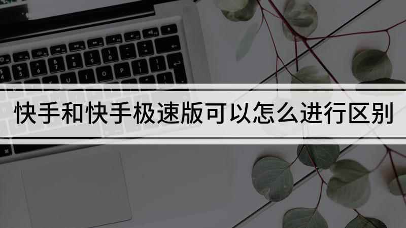 快手和快手极速版可以怎么进行区别(快手和快手极速版的区别 开启快手青少年模式)