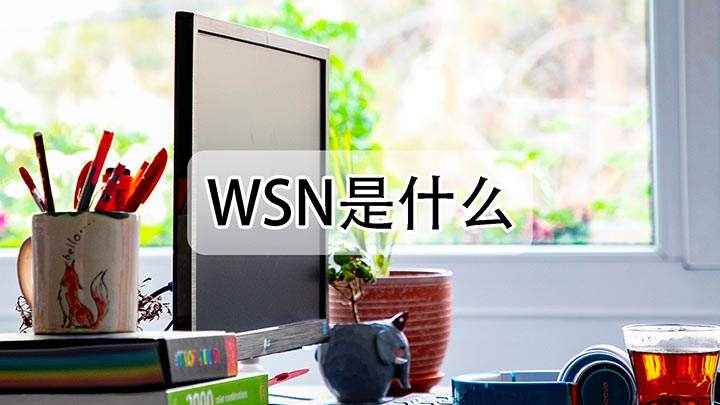 WSN是什么(wsn这个词,是不是看起来很眼熟呢,我们可能或多或少见过这个)
