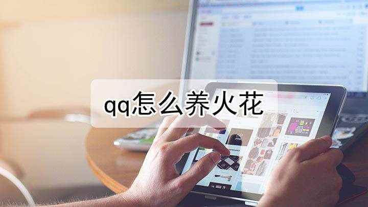 qq怎么养火花(QQ V8.5)