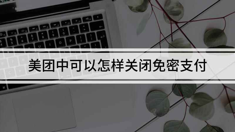美团中可以怎样关闭免密支付(iPhone12演示机)