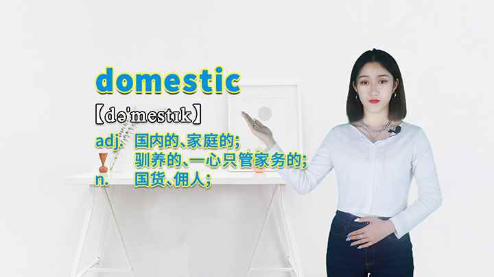 domestic的讲解(domestic这个单词你学会了吗)