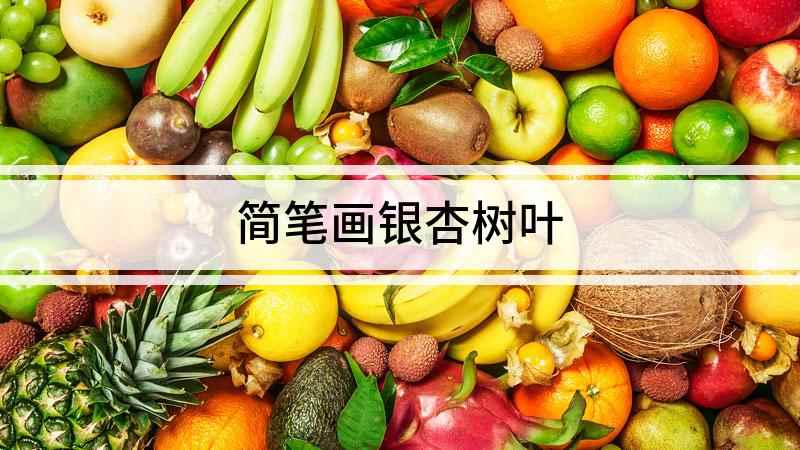 简笔画银杏树叶(银杏树叶简笔画,画出银杏叶的叶子)