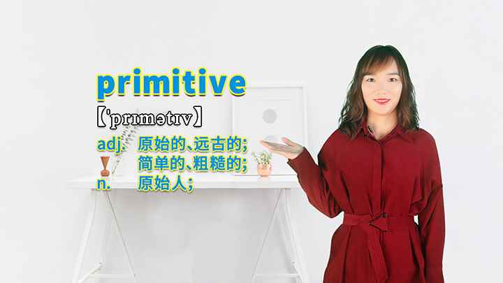 primitive的讲解(primitive你学会了吗)