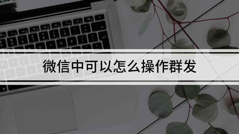 微信中可以怎么操作群发(华为P40 pro,适用系统:EMUI 11)