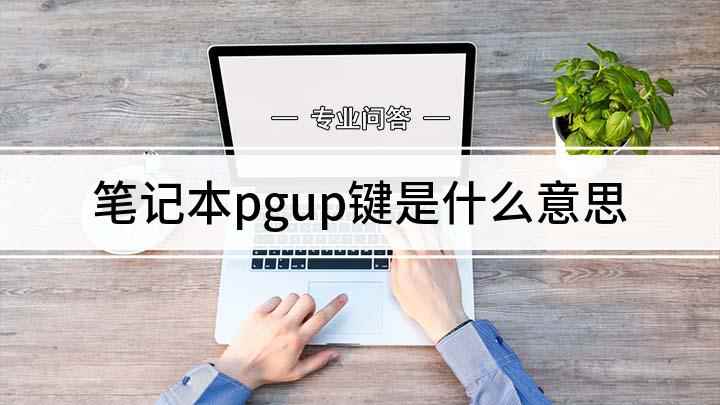 笔记本pgup键(pgUp键是什么意思呢)