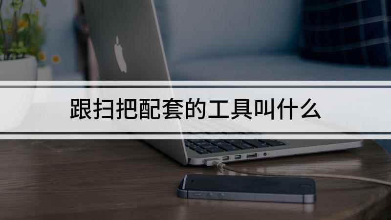 跟扫把配套的工具叫什么(普通话叫簸箕,关于簸箕有三种释义)