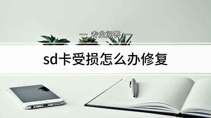 sd卡受损怎么办修复(sd卡受损怎么修复 SD卡修复经验分享)