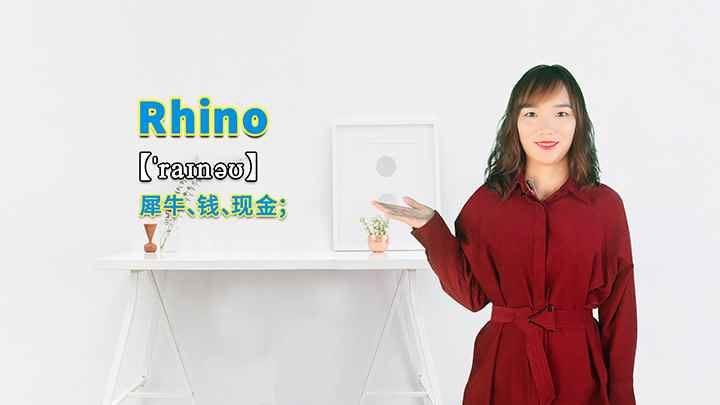 Rhino的讲解(Rhion表示犀牛、钱、现金的意思,rhino为双音节名词)