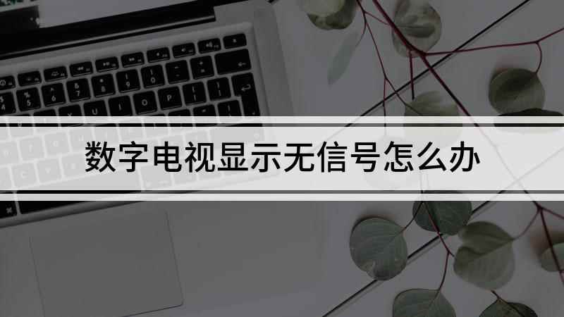 数字电视显示无信号怎么办(数字电视没有信号怎么调)