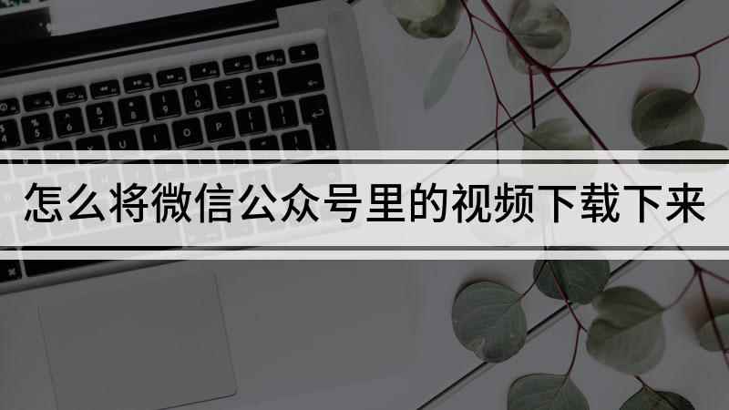 怎么将微信公众号里的视频下载下来(QQ浏览器如何下载视频)