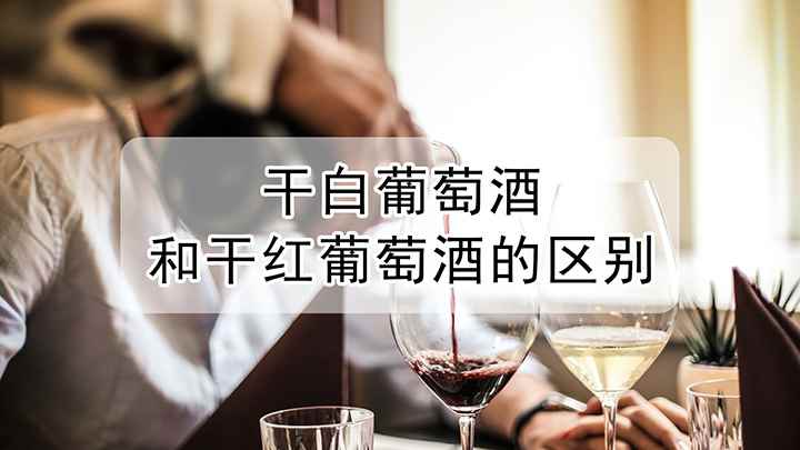干白葡萄酒和干红葡萄酒的区别(红酒和干红葡萄酒的区别)
