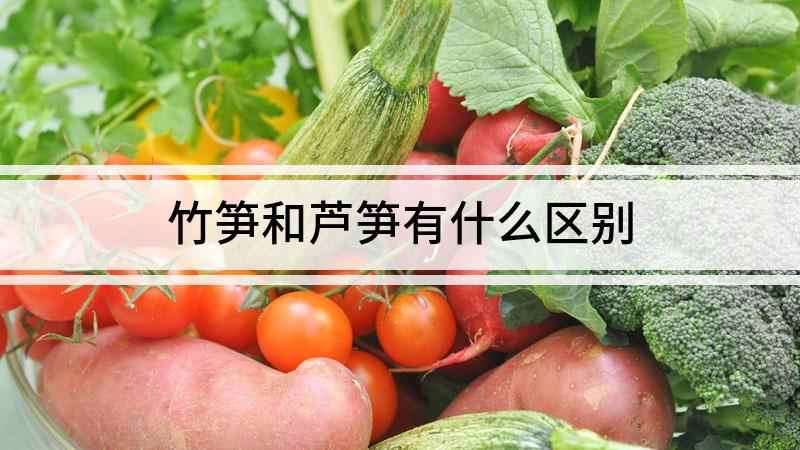 竹笋和芦笋有什么区别(芦笋和竹笋的区别)
