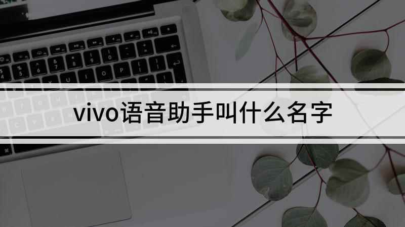 vivo语音助手叫什么名字(Funtonch OS10演示机型ViVO Z5X)