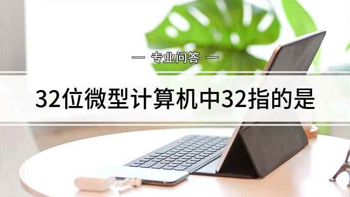 32位微型计算机中32指的是(32位微型计算机中的32指的是什么)