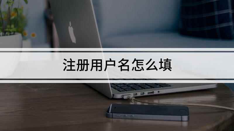 注册用户名怎么填(iPhone13演示机)