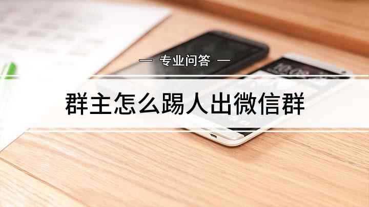 群主怎么踢人出微信群(微信通讯录按钮,找到自己创建的群)
