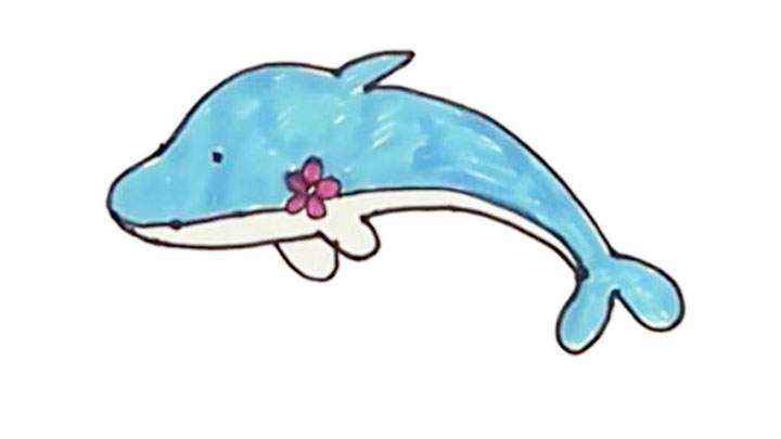 海豚简笔画怎么画(白纸上用线条先画出海豚的脑袋)