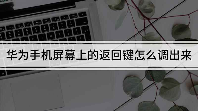 华为手机屏幕上的返回键怎么调出来(华为MATE30,适用系统:EMUI 10.1)