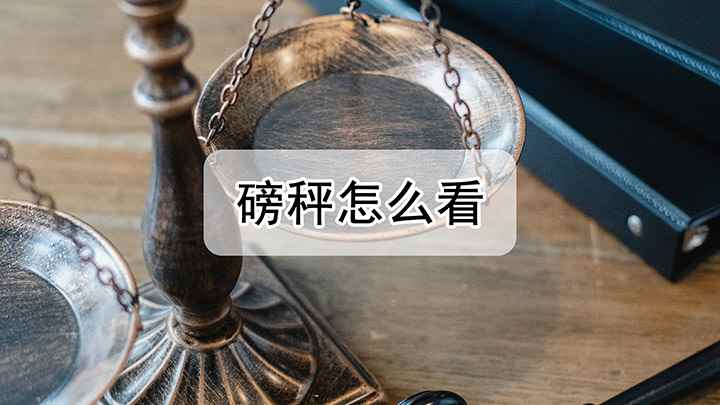 磅秤怎么看(磅秤上的刻度尺是什么意思)