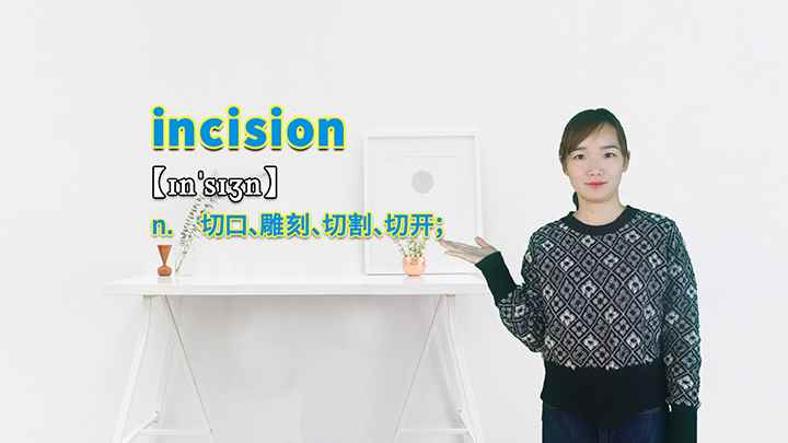 incision的讲解(incision切口、雕刻、切割、切开这个单词你学会了吗)