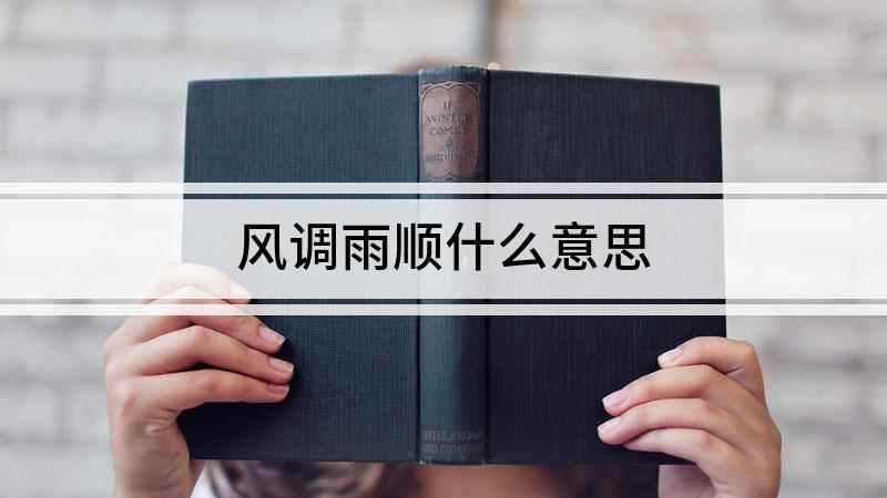 风调雨顺什么意思(寺内四大金刚各执一物,俗谓“风调雨顺”四字,执剑者,风也)