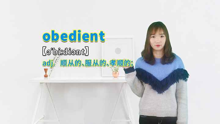 obedient的讲解(obedient这个单词你学会了吗)