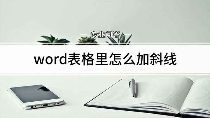 word表格里怎么加斜线(Windows 10 家庭中文版)