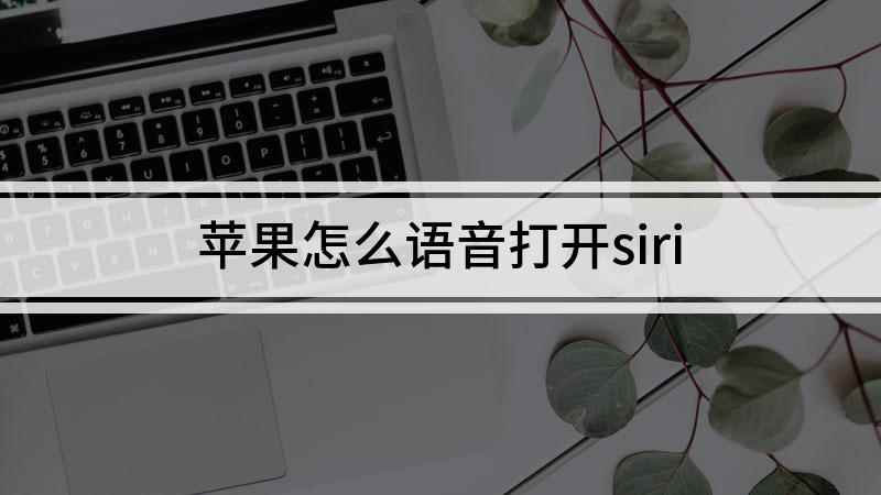 苹果怎么语音打开siri(演示机型:iPhone 12,适用系统:iOS 14)