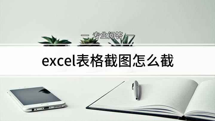 excel表格截图怎么截(excel怎么打印成图片单元格)