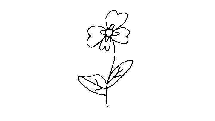 花朵简笔画怎么画(先画一个小圆圈做花心,为了避免花朵看起来单调)