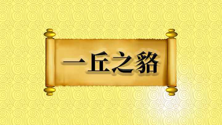 一丘之貉什么意思(成语是【一丘之】,丘表示土山,诛杀忠良,竟以灭亡,令亲任大臣)