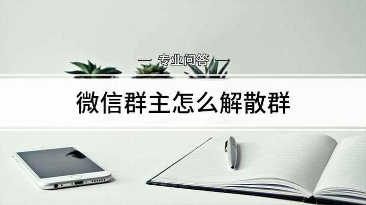 微信群主怎么解散群(微信群聊如何解散,解散群聊有一个前提)