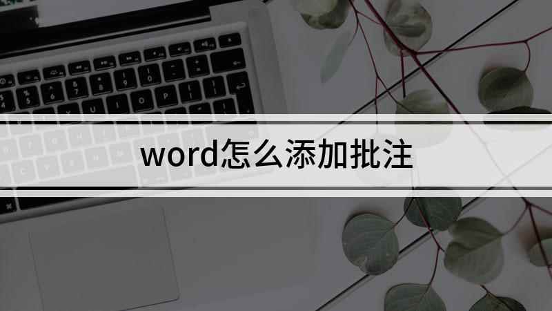 word怎么添加批注(演示机型:组装台式机,适用系统:Win10)