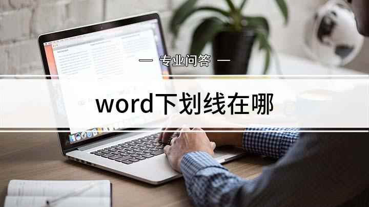 word下划线在哪(Word文档如何添加下划线)