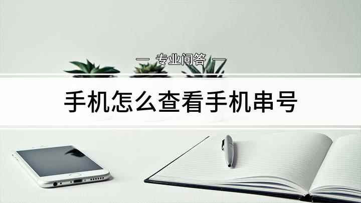 手机怎么查看手机串号(手机串号有两种可快速查询的方法)