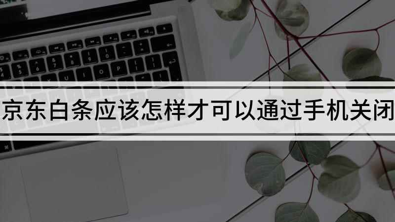 京东白条应该怎样才可以通过手机关闭(小米CC9 pro演示机型)