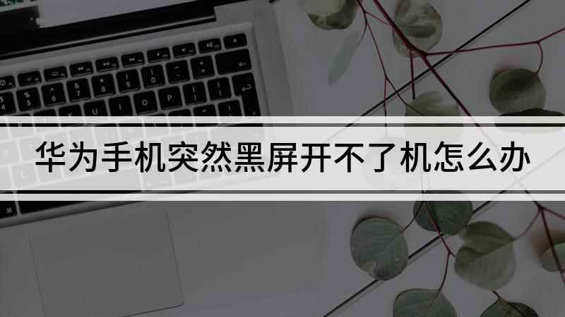 华为手机突然黑屏开不了机怎么办(华为mate30开不了机的原因和解决办方法)