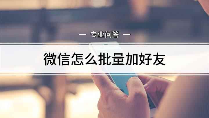 微信怎么批量加好友(微信如何添加好友这些方法你学会了吗)