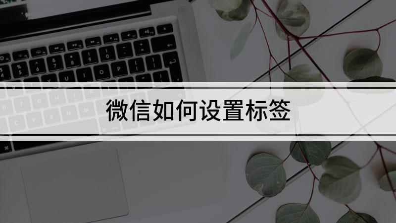 微信如何设置标签(本视频演示机型:OPPO K7x,适用系统:ColorOS1)
