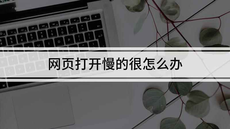 网页打开慢的很怎么办(组装台式机,适用系统:Windows7,360安全浏览器)