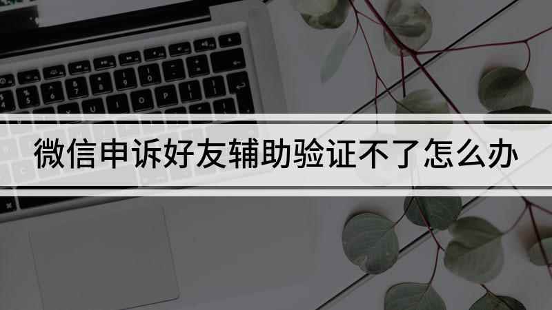 微信申诉好友辅助验证不了怎么办(好友辅助验证不了怎么办)