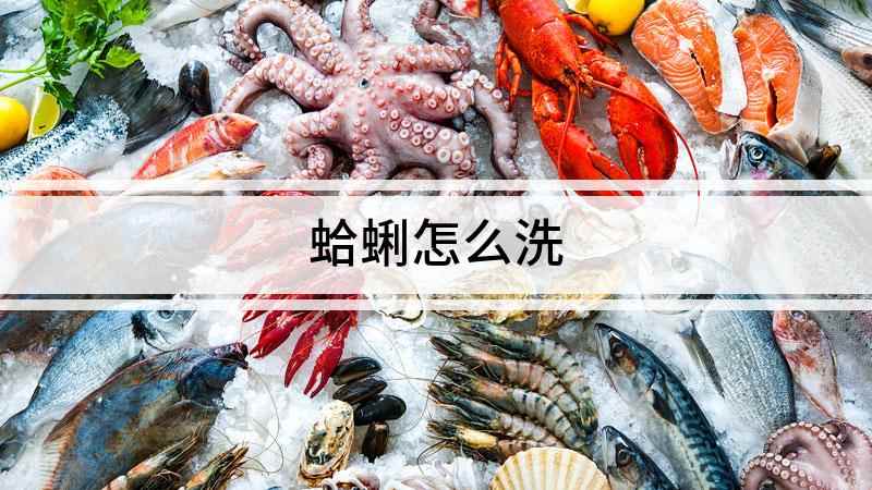 蛤蜊怎么洗(蛤蜊怎么清洗干净准备一盆)