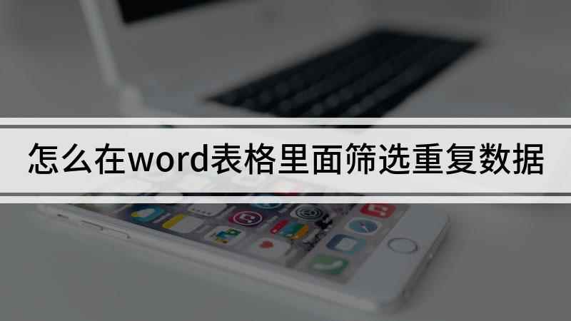 怎么在word表格里面筛选重复数据(本视频演示机型:Surface Go 2,适用系统:Wind)