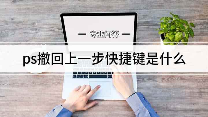 ps撤回上一步快捷键是什么(戴尔成就3690,适用系统:Windows 10)