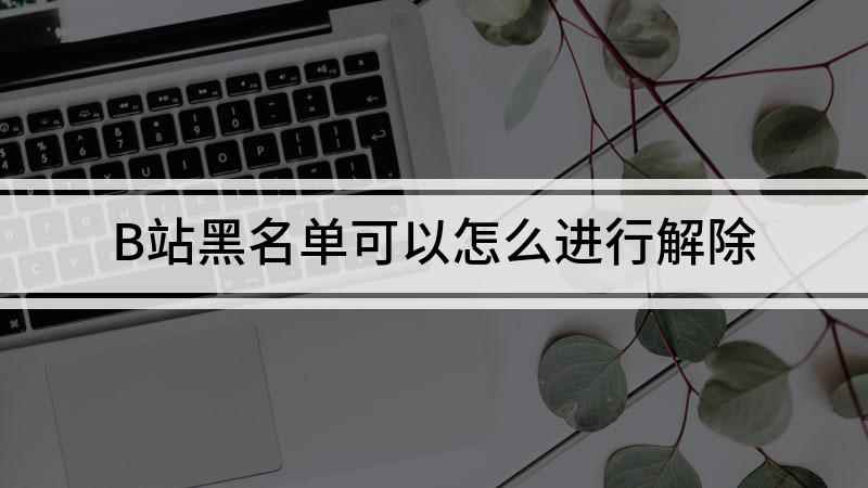 B站黑名单可以怎么进行解除(iphone11,适用系统:ios13.7,哔哩哔哩6.9.)