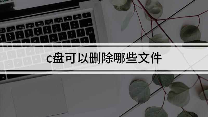 c盘可以删除哪些文件(电脑C盘哪些文件可以删除)