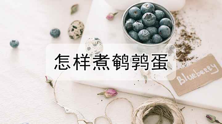 怎样煮鹌鹑蛋(鹌鹑蛋中氨基酸种类齐全)