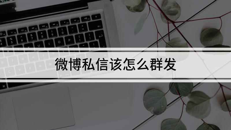 微博私信该怎么群发(联想小新air14演示机型:Windows10)